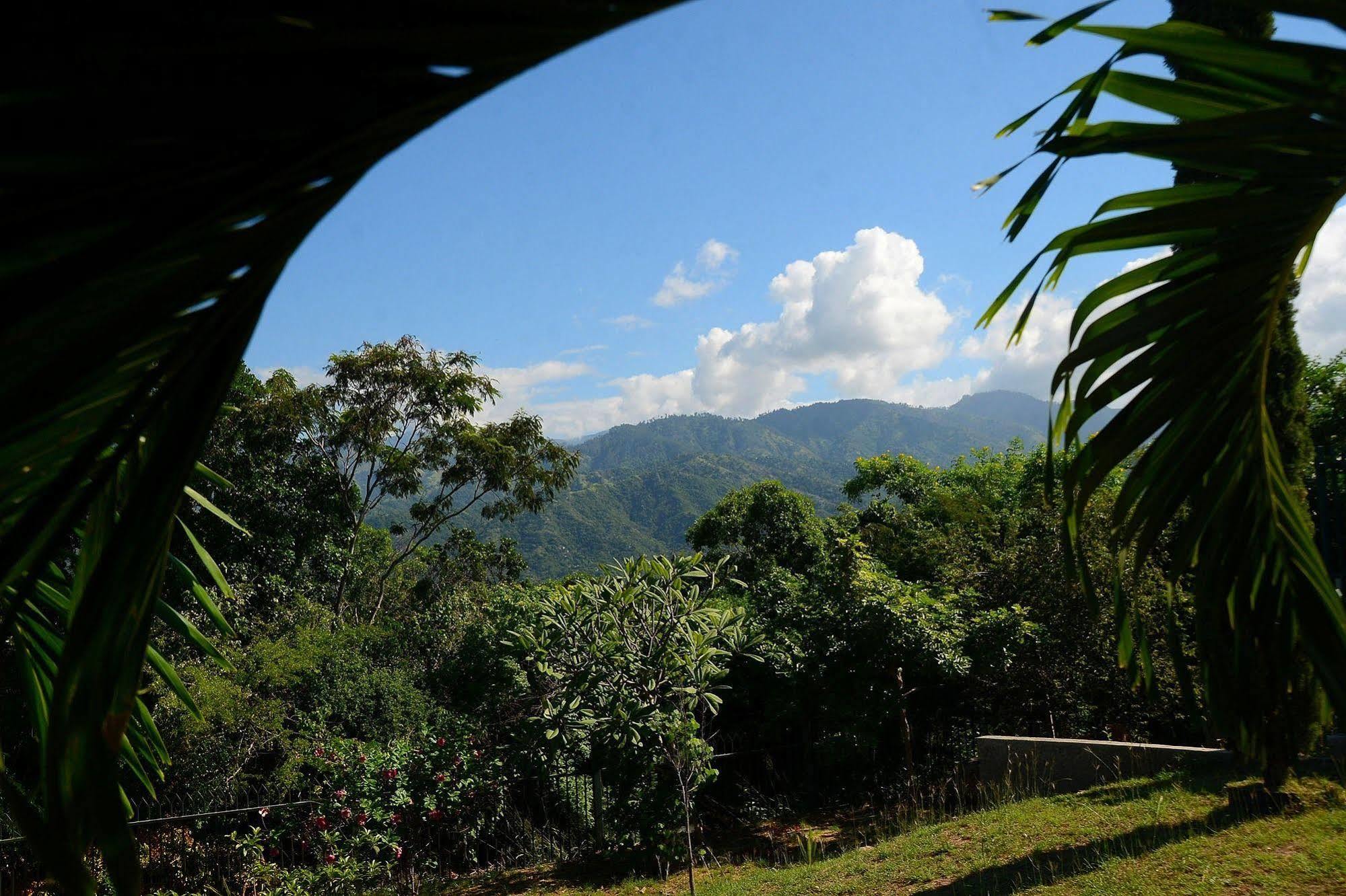 The Cabin At Long Mountain Country Club 金斯敦 外观 照片